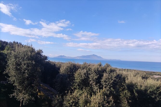 Tour of the Archaeological Park of Cuma and the Cave of the Sibyl - Discovering the Antro Della Sibilla