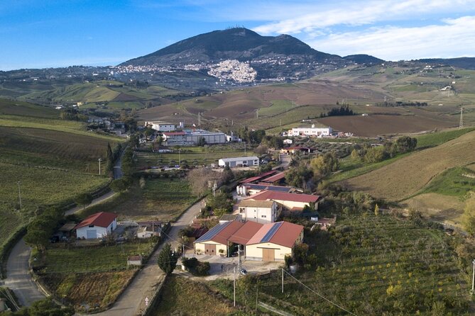 Tour of the Cheese and Wine Routes in Cammarata - Scenic Landscapes and Vineyards
