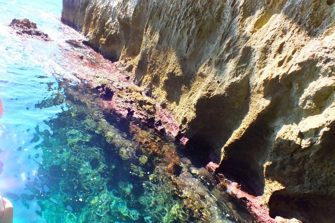 Tour of the Island of Ortigia and Exploration of Sea Caves With Baths. - Learning About Local History