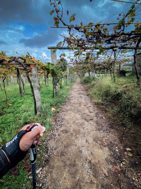 Tour of the Marquis of Pombal Self-Guided Walking - Key Points