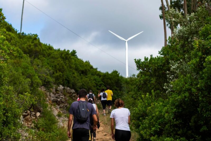 Tour of the Marquis of Pombal Self-Guided Walking - Experience and Highlights