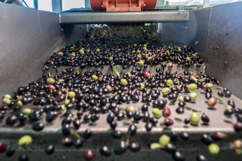 Tour of the Perniola Oil Mill With Tasting of EVO Oil - Since Your Asked