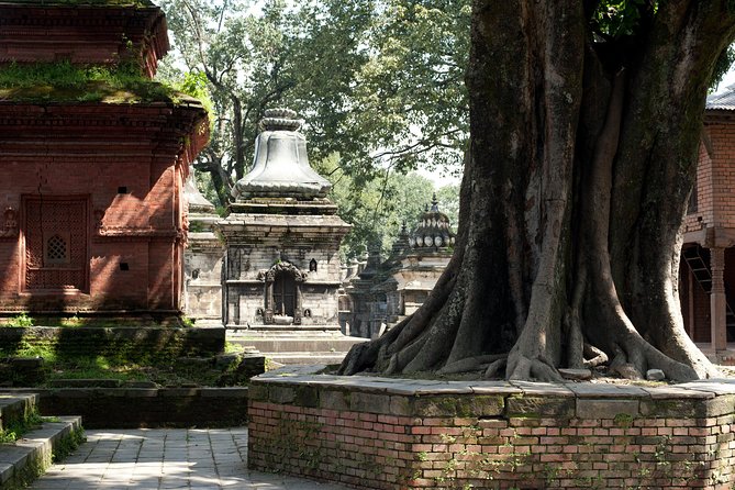 Tour of the Villages of Varanasi (Guided Sightseeing Tour by Car) - Booking Information