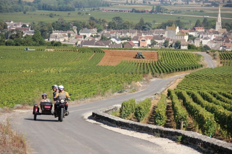 Tour of the Vineyards on Motorbike With Sidecar - Restrictions and Suitability