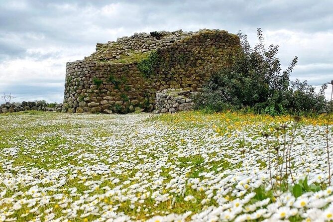 Tour of the Well of Santa Cristina and Nuraghe Losa Entrance Fees Included - Inclusions