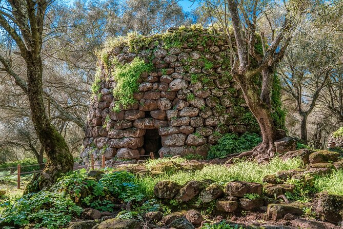Tour of the Well of Santa Cristina and Nuraghe Losa Entrance Fees Included - Frequently Asked Questions