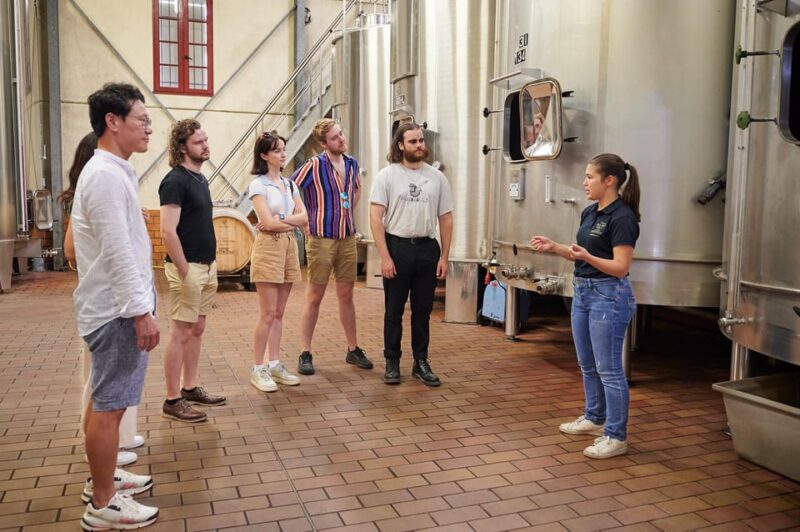 Tour of the Winery and Tasting of 3 Appellations - Wine Tasting Experience