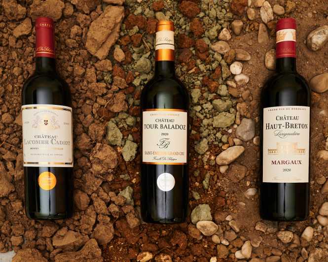 Tour of the Winery and Tasting of 3 Appellations - Bordeaux Wine Production