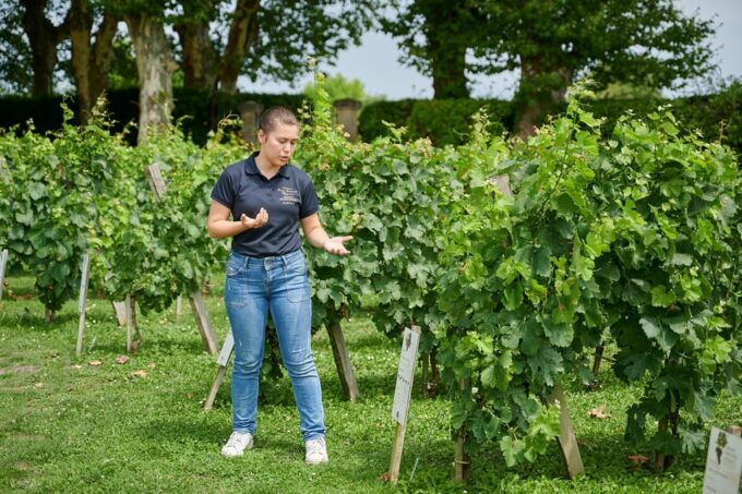 Tour of the Winery and Tasting of 3 Appellations - Booking Information