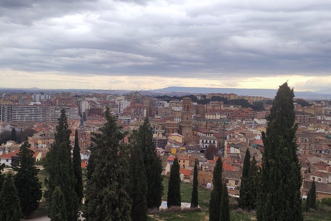 Tour of Tudela and the Great Desert of Europe. - Highlights of the Tour