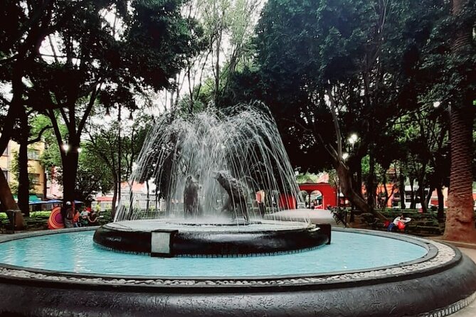 Tour of Xochimilco and The World of Frida Kahlo - Flexibility to Customize Based on Interests