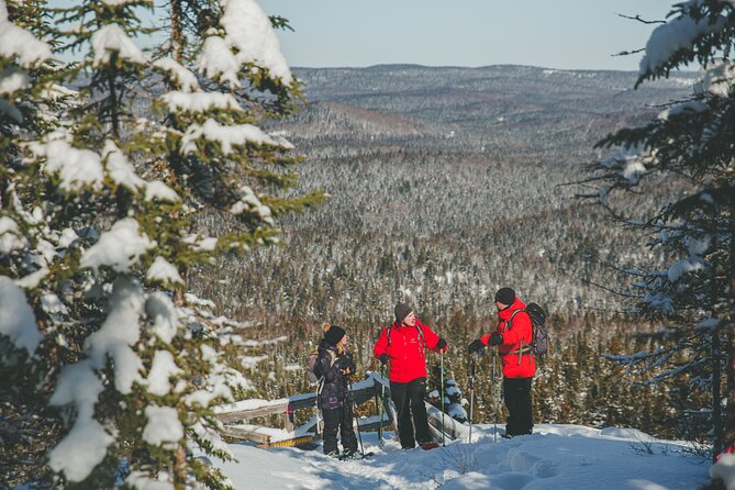 Tour Off Montreal - Price and Lowest Price Guarantee