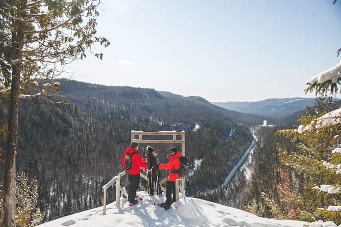 Tour Off Montreal - Guided Tour Experience