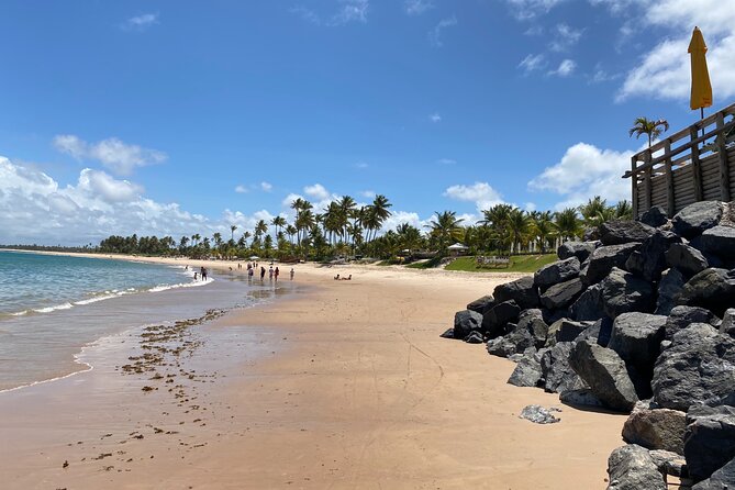 Tour on Forte and Guarajuba Beaches, Leaving Salvador-Bahia - Itinerary Highlights