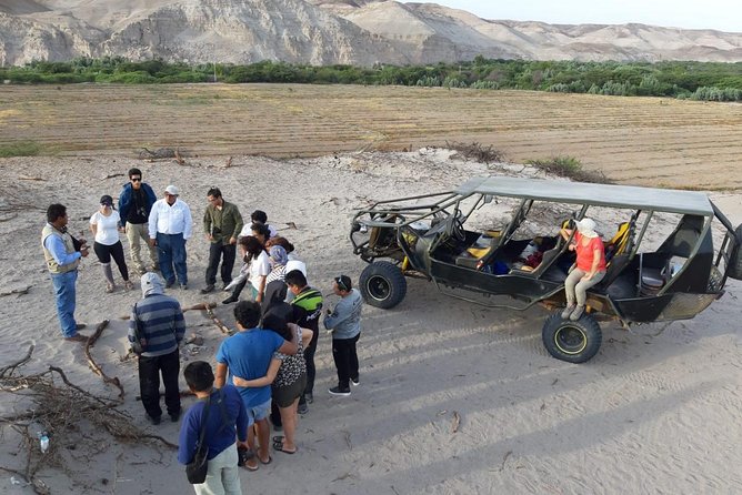 Tour Operators in Nasca in Buggy Archeology and Adventure - Booking Process