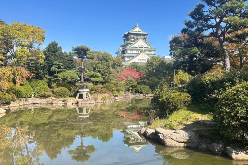 Tour Osaka in Spanish: Visit the Must-See Sites - Osaka Castle: Discovering Osakas Historical Gem