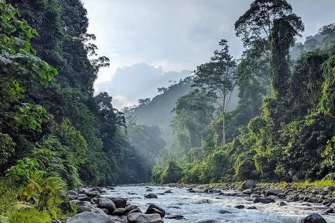 TOUR PACKAGE (Jungle Trekking, Taxi, Room) 4 DAYS 3 NIGHTS in BUKIT LAWANG - Contact Information