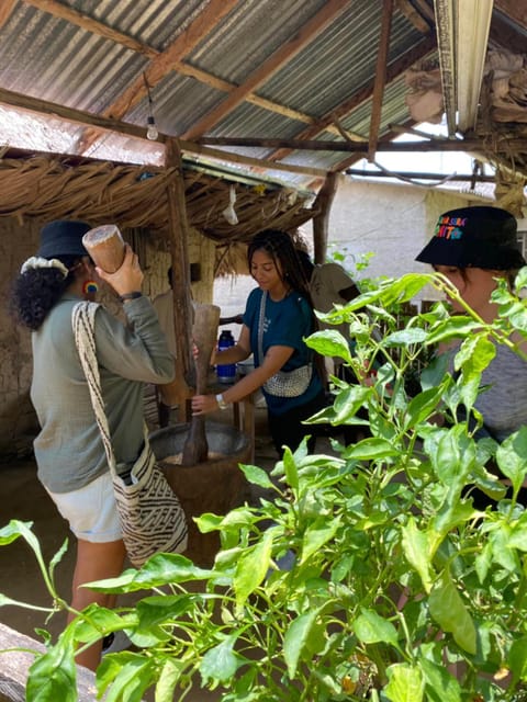 Tour Palenque With Natives - Recap