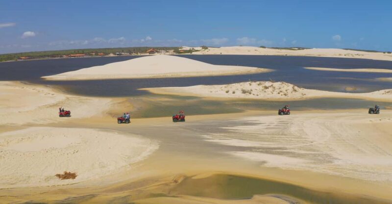 Tour: Parnaíba Delta - Guarás Flocking Circuit - Timing and Availability