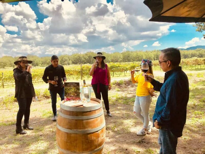 Tour "Parras de la Fuente" + Guía + Traslados + Tickets - The Itinerary and What to Expect