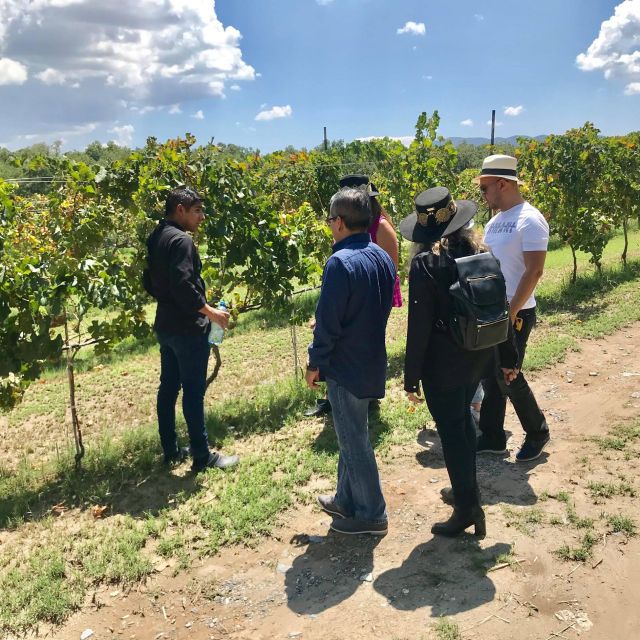 Tour Parras De La Fuente, With Guide, Transfer and Tickets - Key Points