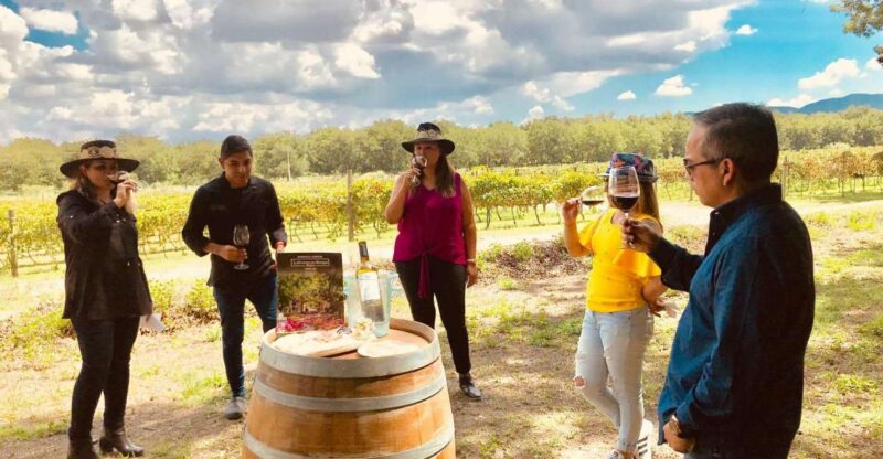 Tour Parras De La Fuente, With Guide, Transfer and Tickets - Experience Details