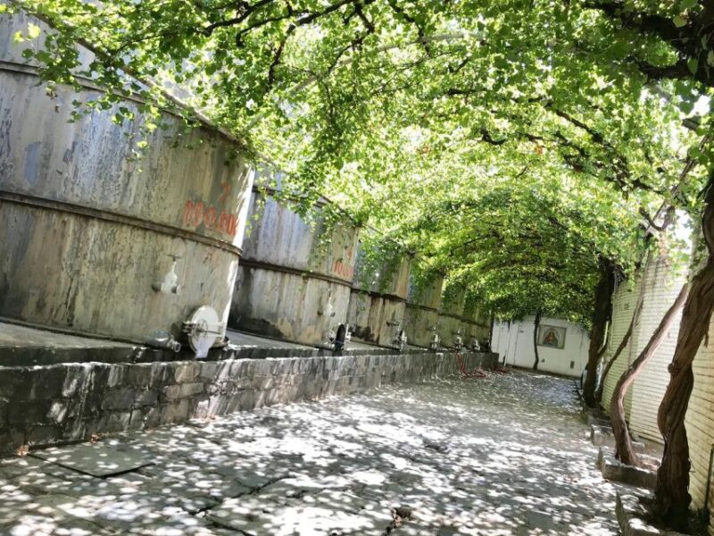 Tour Parras De La Fuente, With Guide, Transfer and Tickets - Additional Activities