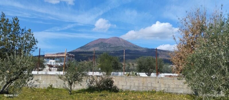 Tour Pompeii and Vesuvius Winery Experience From Naples - Scenic Van Rides