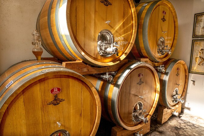 Tour Pompeii Ruins and Winery Lunch Included - Included Experiences