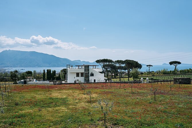 Tour Pompeii Ruins and Winery Lunch Included - Tour Accessibility