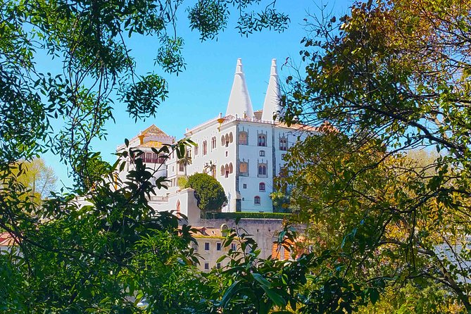 Tour Portugal 4 Days - Transportation and Comfort