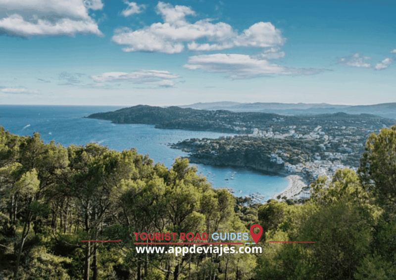 Tour Private Boat, Costa Brava & Lunch - Itinerary and Experience
