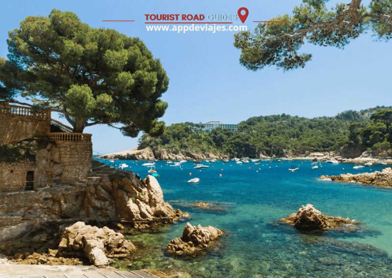 Tour Private Costa Brava Diving & Lunch - Key Points