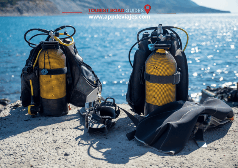Tour Private Costa Brava Diving & Lunch - Diving Experience