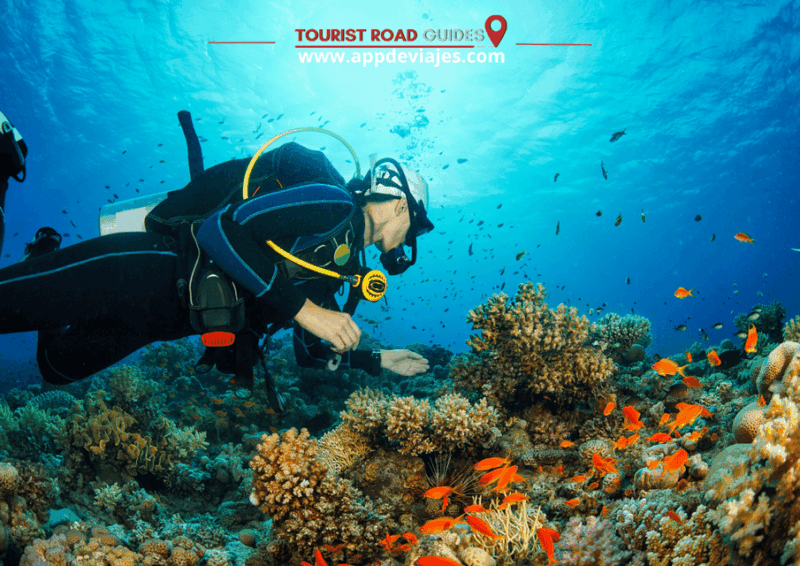 Tour Private Costa Brava Diving & Lunch - Transportation and Logistics