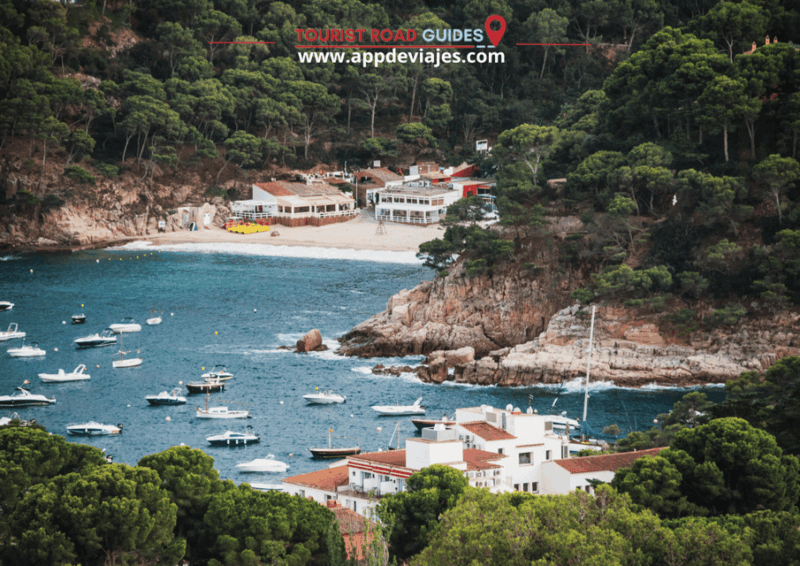 Tour Private Costa Brava Diving & Lunch - Pickup and Drop-off Locations
