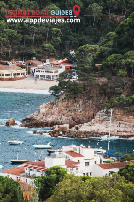 Tour Private Costa Brava Diving & Lunch - Reservation and Payment Options
