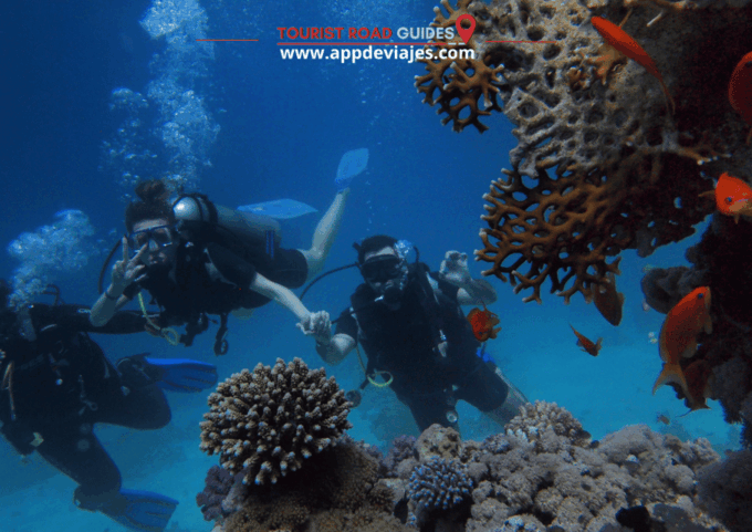 Tour Private Costa Brava Diving & Lunch - Frequently Asked Questions