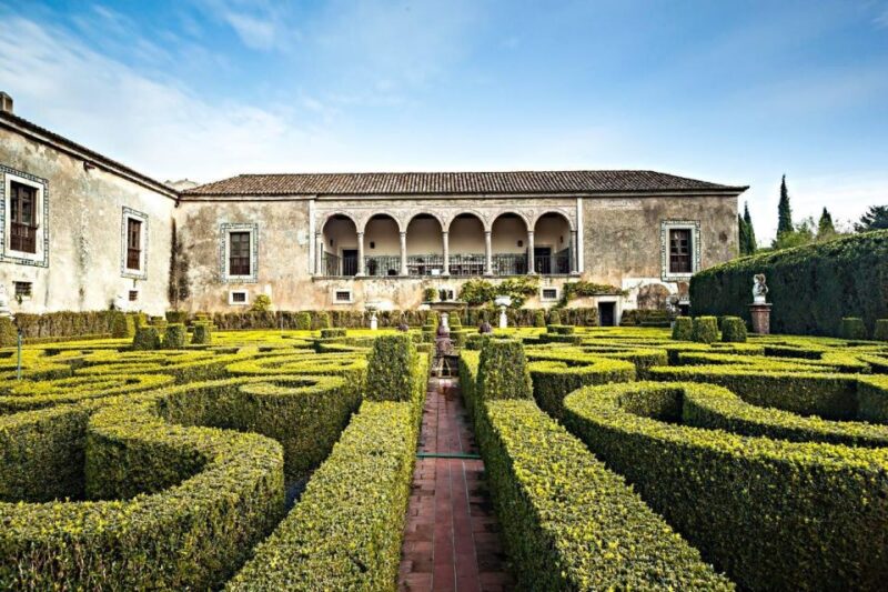 Tour Private Wine Tasting - Language and Guide