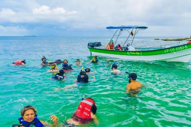 Tour Rosario Islands Mas Plankton - Activities Included in the Excursion