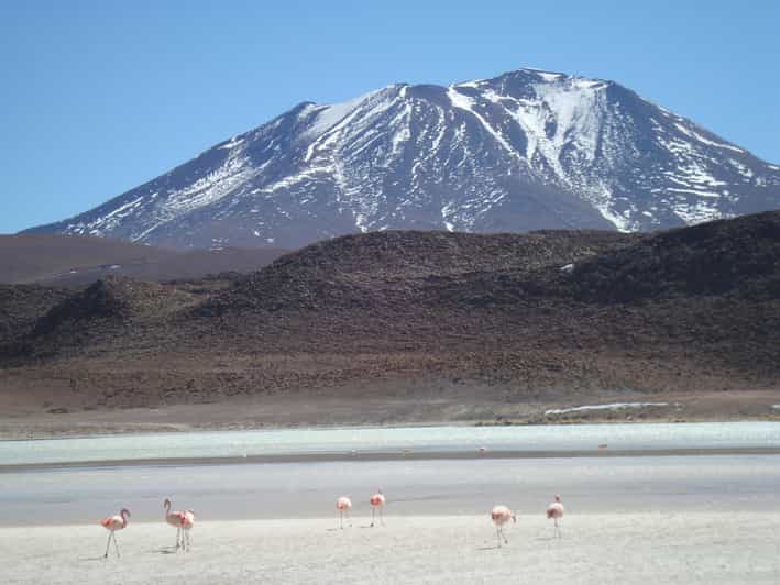 Tour San Pedro De Atacama: Salar De Uyuni / San Pedro Atacama - Itinerary Highlights