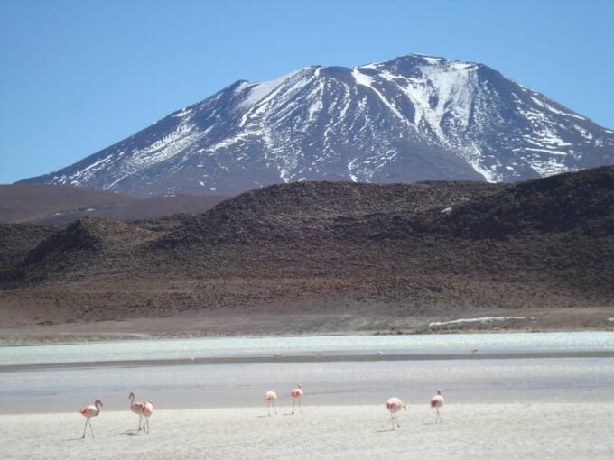 Tour San Pedro De Atacama: Salar De Uyuni / San Pedro Atacama - Discovering Train Cemetery and Lake Catal