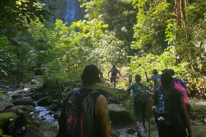 Tour Shaman Medicinal Plants and Waterfalls - Inclusions