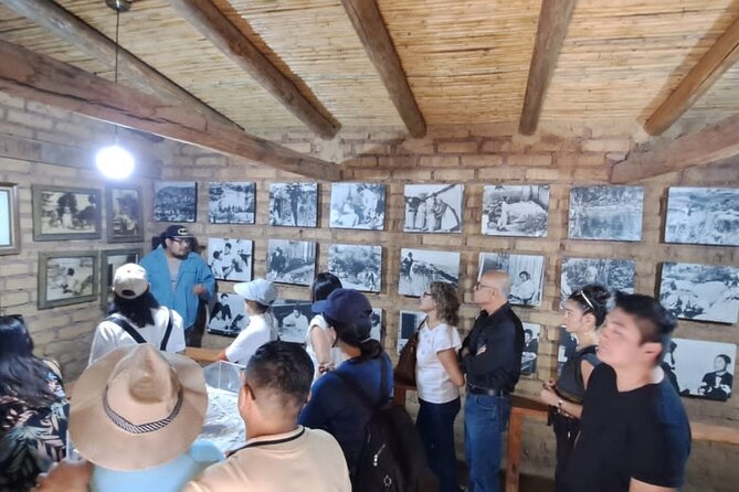 Tour Sierra Juárez (Glass Viewpoint, Guelatao, Capulalpam) - Health and Safety