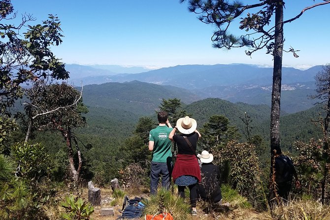 Tour Sierra Juárez (Glass Viewpoint, Guelatao, Capulalpam) - Frequently Asked Questions