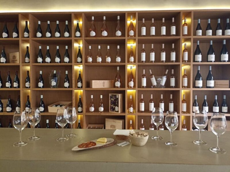 Tour Specific Alentejo: Évora, Wine Tasting, and Monsaraz - Highlights and Attractions
