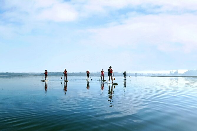 Tour Stand Up Paddle - Location and Meeting Point