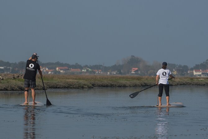 Tour Stand Up Paddle - Review Summary and Ratings