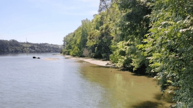 Tour Stand up Paddle - Dessert Islands Douro - Pick up Point - Recap