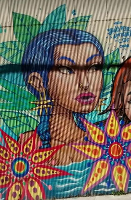 Tour Street Art Culture in Valparaíso and Viña Del Mar - Exploring Valparaísos Attractions